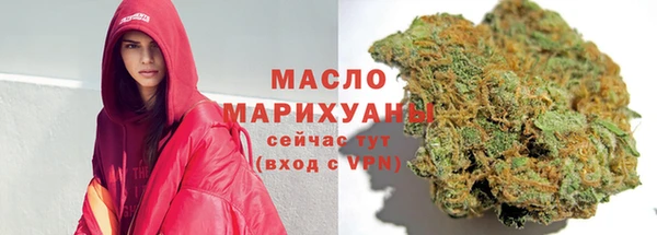 дмт Заводоуковск
