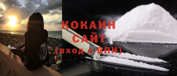 дмт Заводоуковск