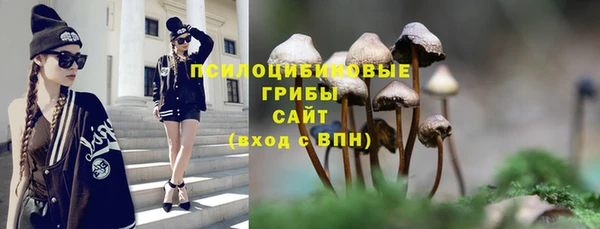 дмт Заводоуковск