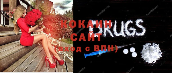 дмт Заводоуковск