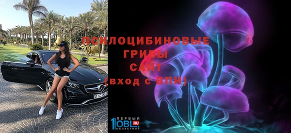 дмт Заводоуковск